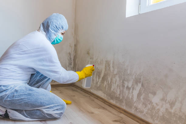 Crawl Space Mold Remediation treatment of floor joists in Eagle